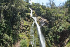 Kitulo National Park