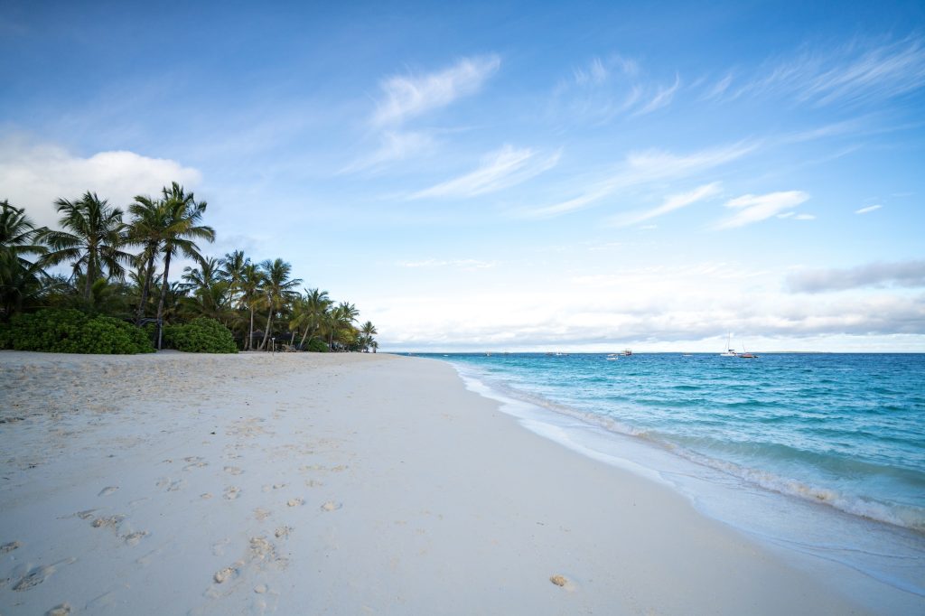 beautiful landscape with a blue sea and patm trees on the blue sky background in Zanzibar island