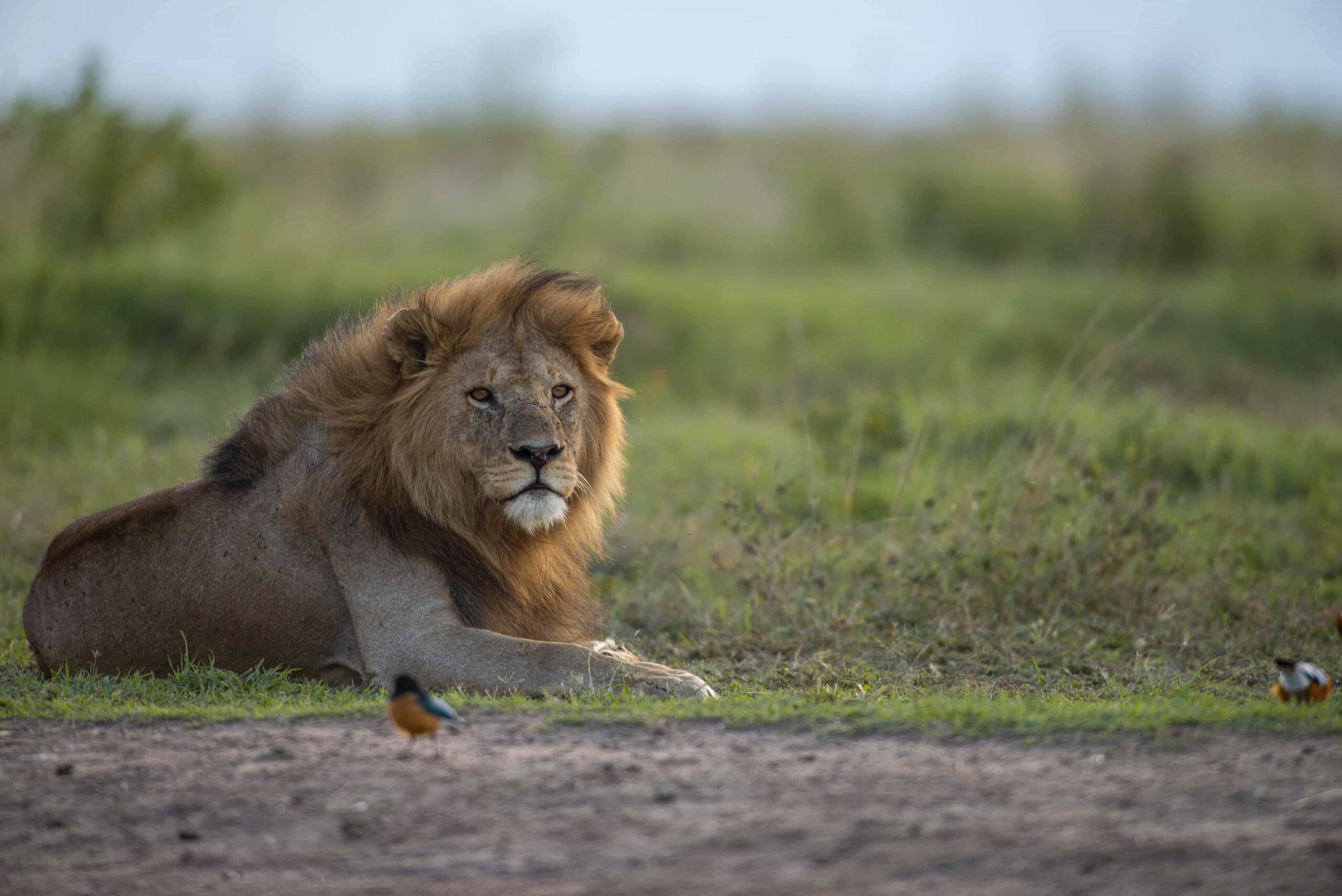 8 Day Tanzania Package