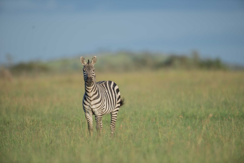 Arusha National Park