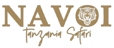 Navoi Tanzania Safaris