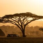 Beste Reisezeit Tansani