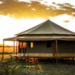 Tanzania Safari Itinerary